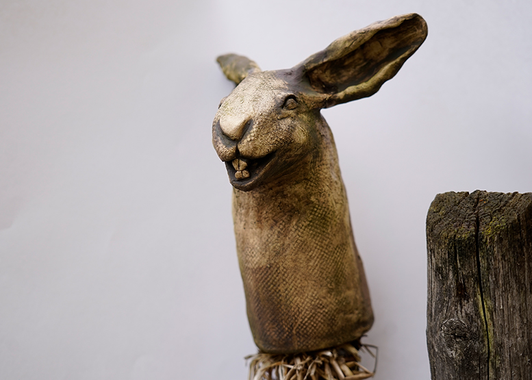Zaunhocker_Hase