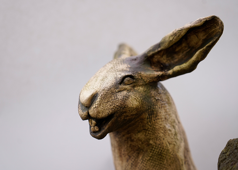 Zaunhocker_Hase