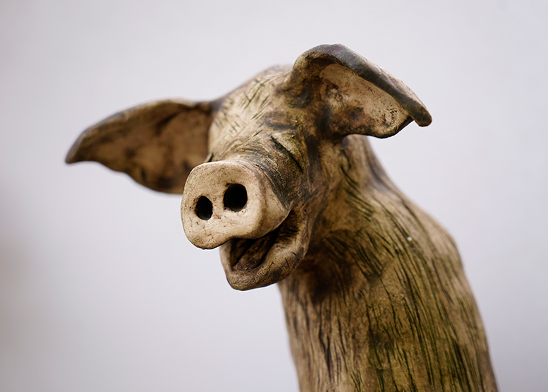 Zaunhocker_Schwein