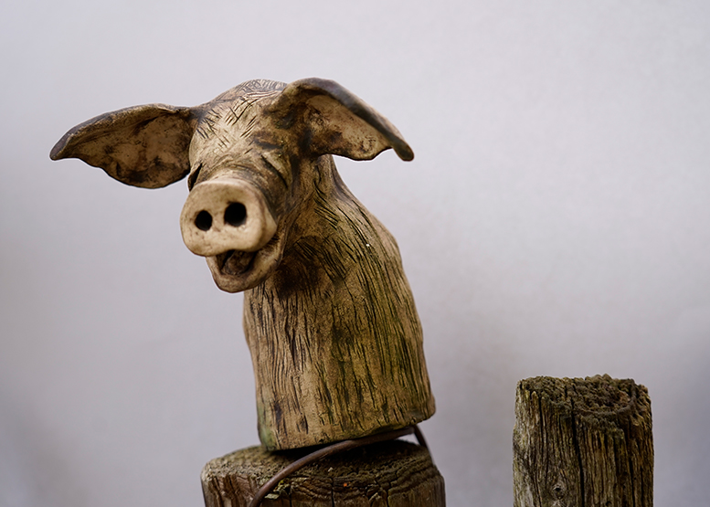 Zaunhocker_Schwein